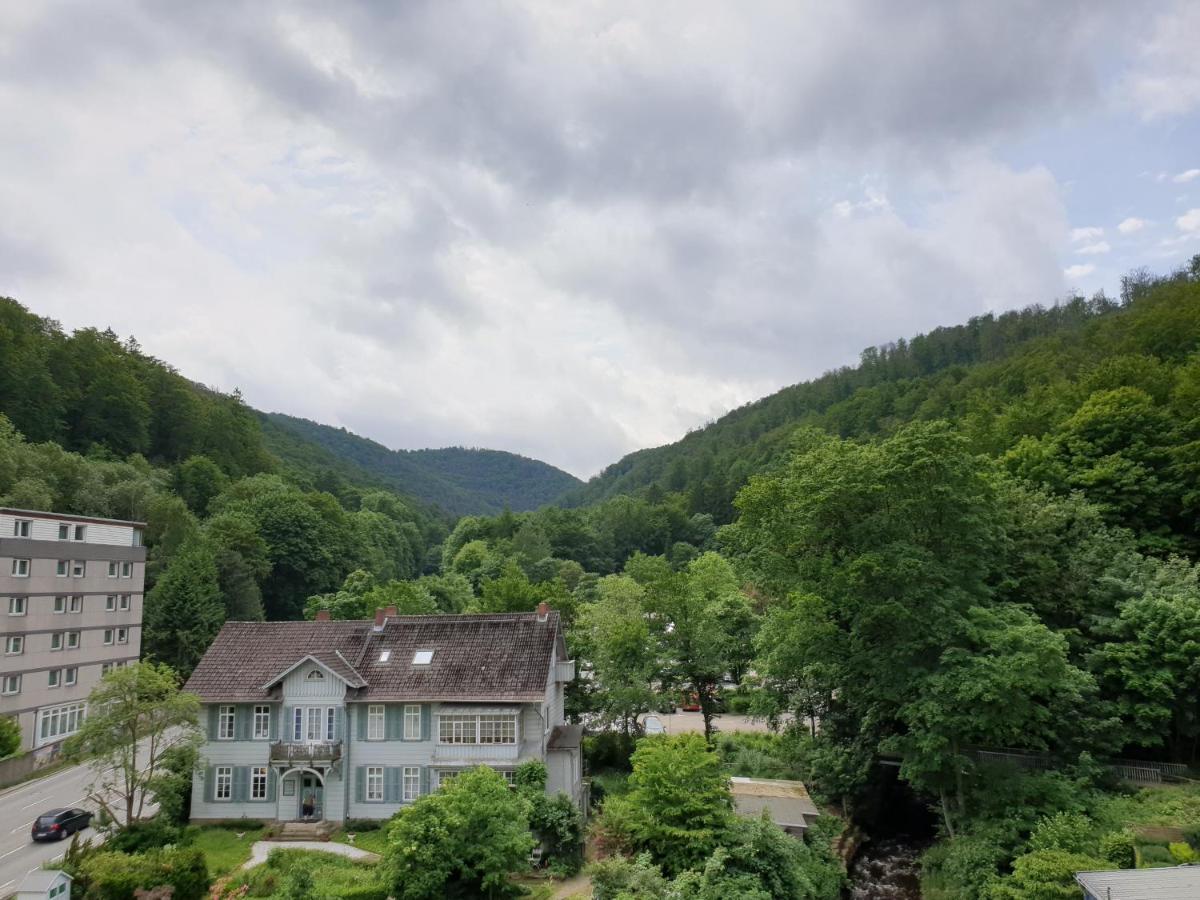 Apartz - - Mit Sauna In Idealer Lage Mit Bergblick Apartment Bad Harzburg